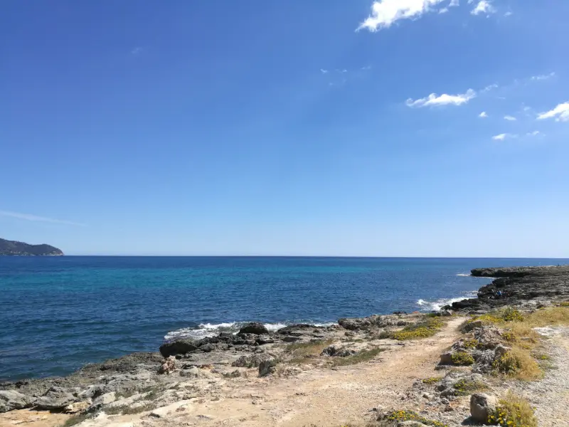 Halvøen Punta Amer der stikker ud mellem kysterne ved Cala Millor og Sa Coma på øen Mallorca.