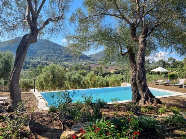 Finca hotel Treurer med egen olivenplantage i Algaida på Mallorca.