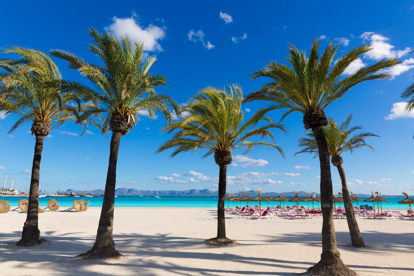 Sommer ved strand i Port Alcúdia, på øen Mallorca i Spanien.