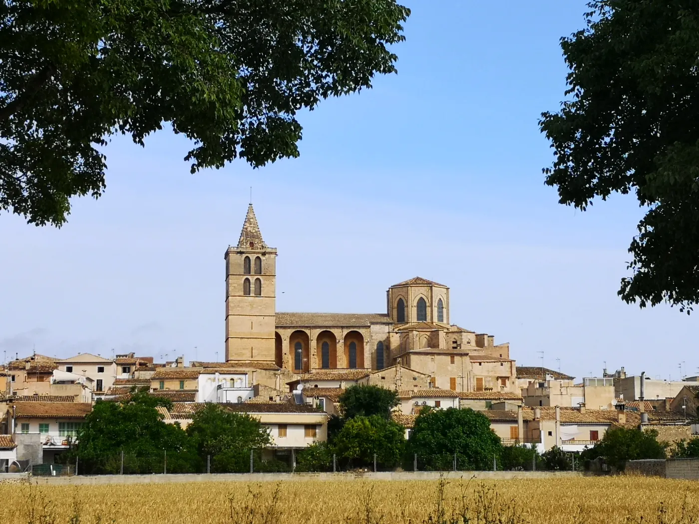 Kirken i byen Sineu på øen Mallorca i Spanien, set fra afstand.