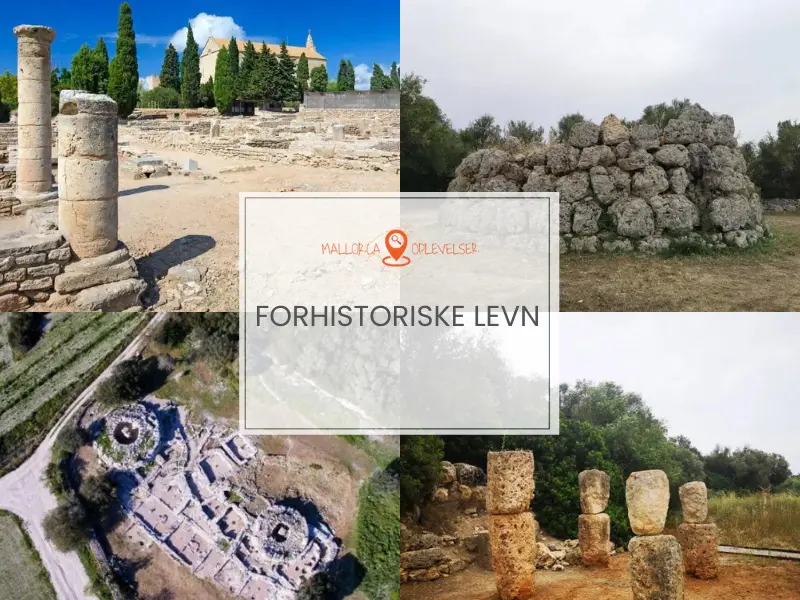 Arkæologiske udgravninger af forhistoriske bosættelser og levn, på øen Mallorca i Spanien.