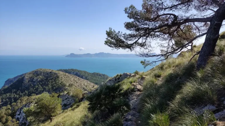 Forår i maj måned på Mallorca, Spanien. En bugt omgivet af smuk uspoleret natur.