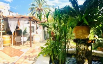 Have og pool ved ferieboligen Casita Limon i Andratx på Mallorca.