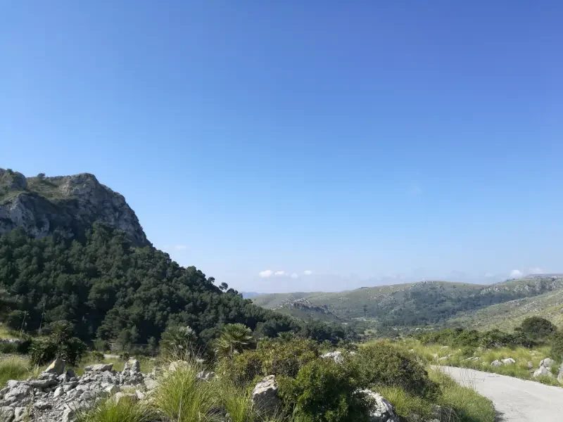 Grønne bjerge i Llevant naturpark i Arta på øen Mallorca.