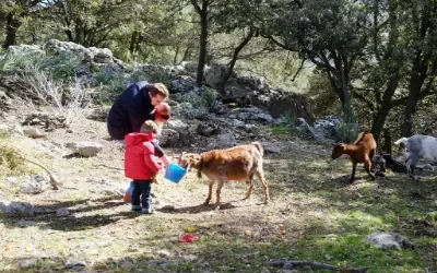 Ophold på agroturismo og gård i Lluc på Mallorca.