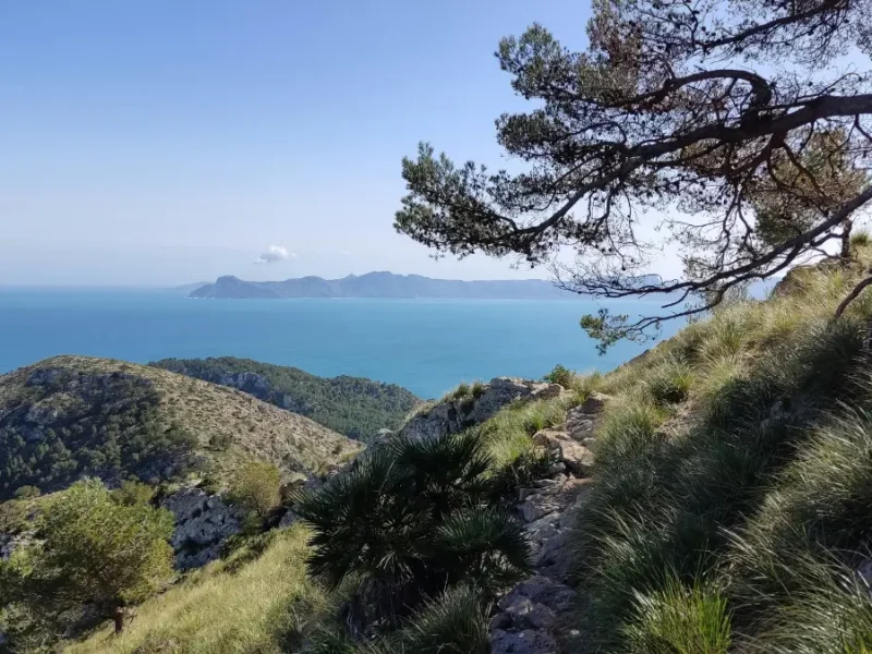 Forår i maj måned på Mallorca, Spanien. En bugt omgivet af smuk uspoleret natur.