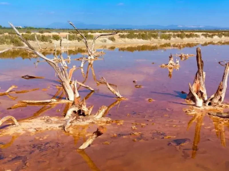 Saltminerne ved el Salobrar i Ses Salines på Mallorca, som også er et elsket naturreservat hvor man spotter fugle.