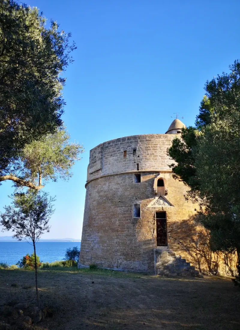Det gamle vagttårn Torre Major, med udsigt over bugten der deler Alcudia og Aucanada på Mallorca.